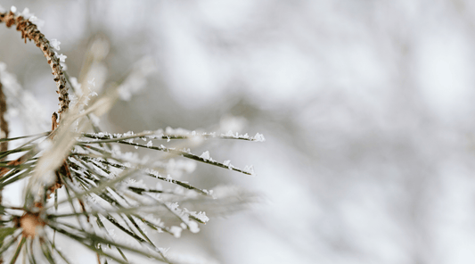 Peau en hiver: besoins, routine naturelle et conseils pour la protéger Okigaï